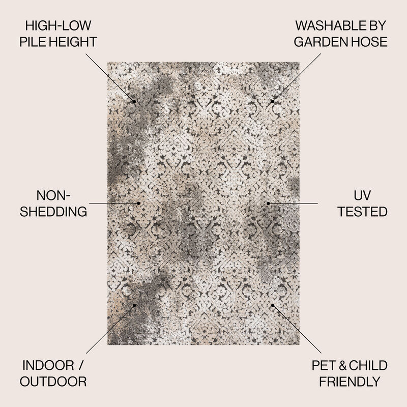 Duenas High-Low Shabby Damask Area Rug