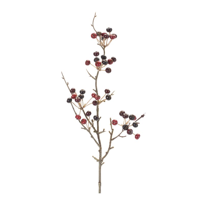 Variegated Berry Pod Spray (Set of 12)
