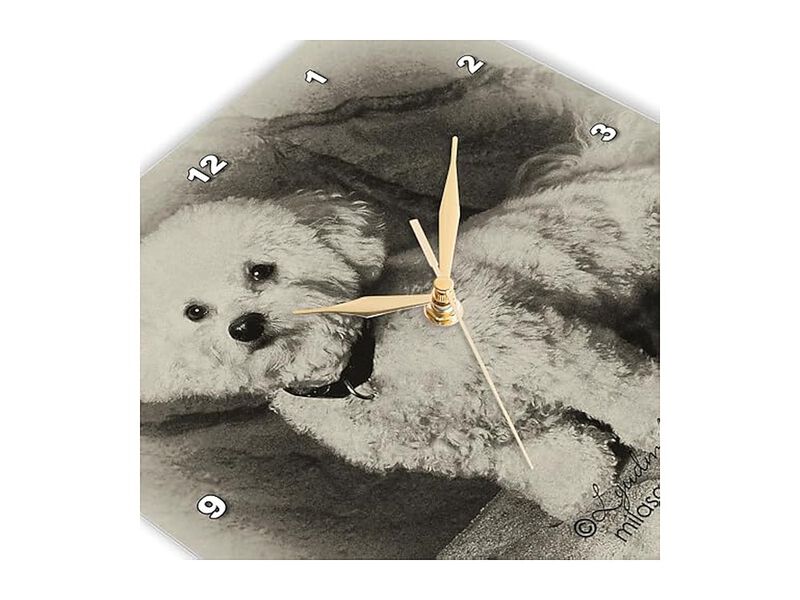 Bichon Frise Wall Clock 10 Inch Home Decor image number 3