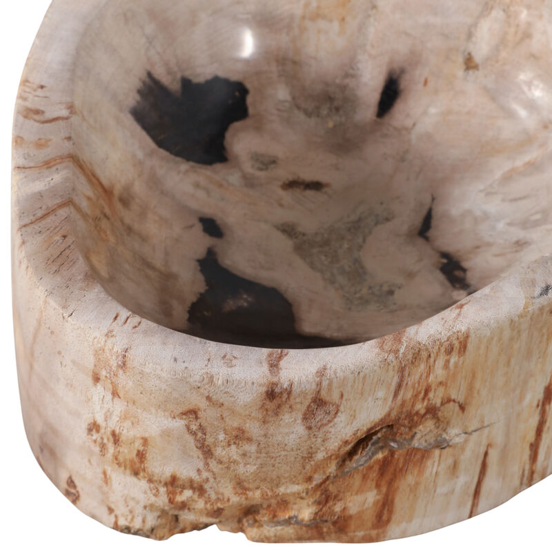 9x4" Petrified Wood Bowl, Ivory/tan image number 4