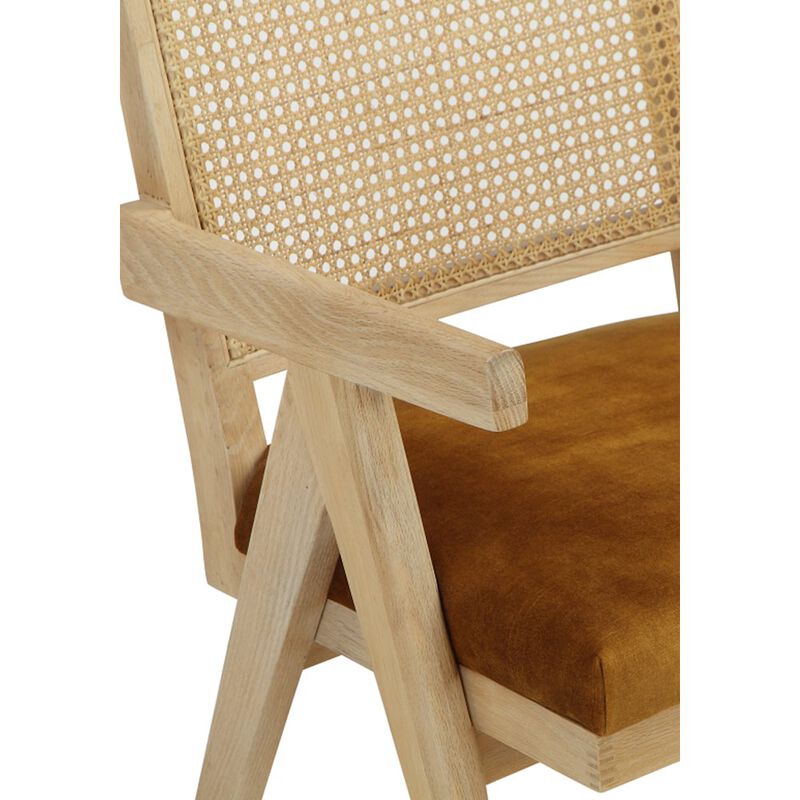 Pangea Home Lev Armchairs Velvet Gold