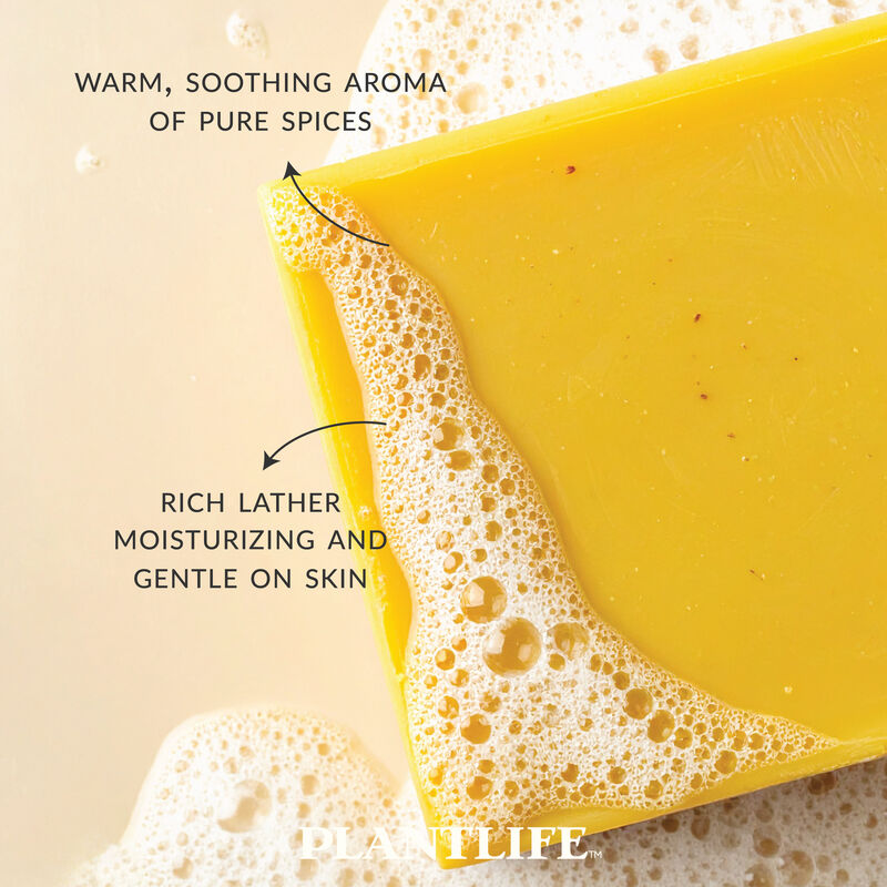 Plantlife Bar Soap - Pumpkin Spice 6 Pack image number 3