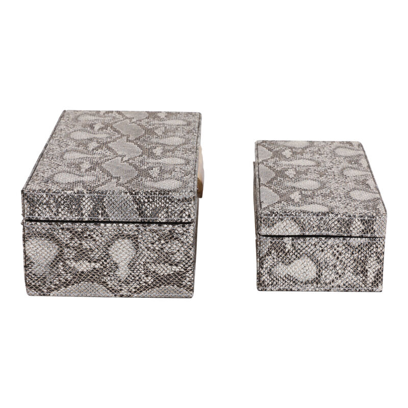 S/2 Shimmer Snakeskin Boxes image number 5