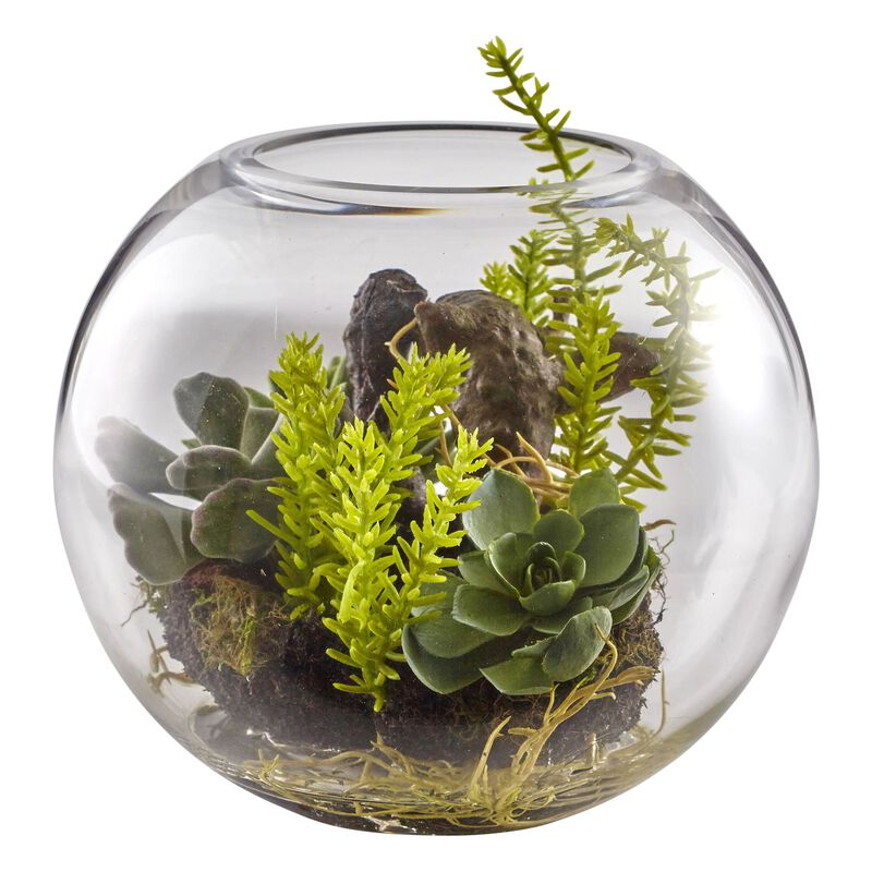 Hivvago Mix Succulent Garden with Glass Vase