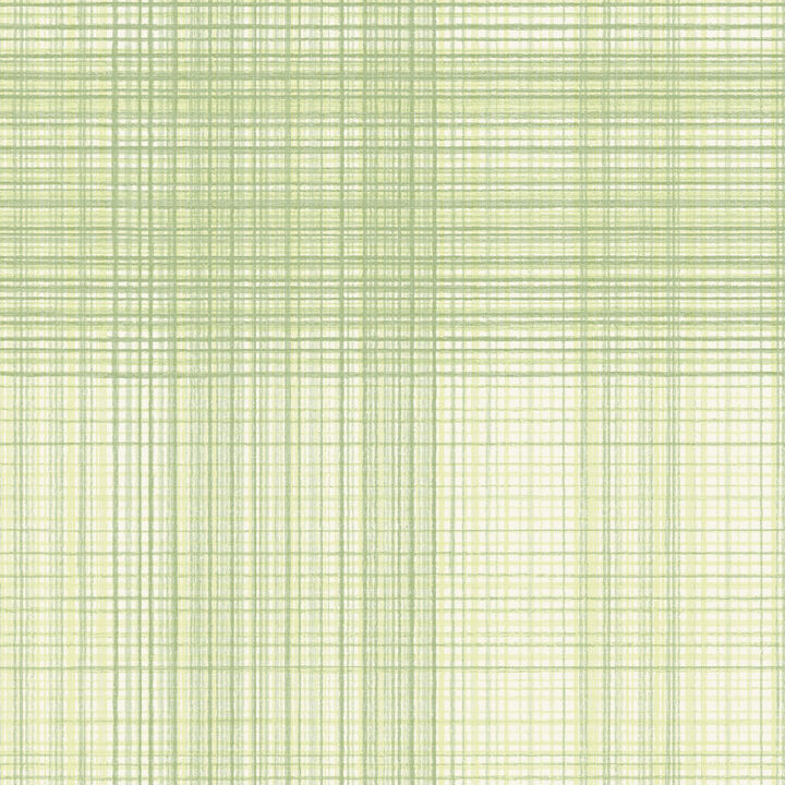 Madras Green Plaid Wallpaper