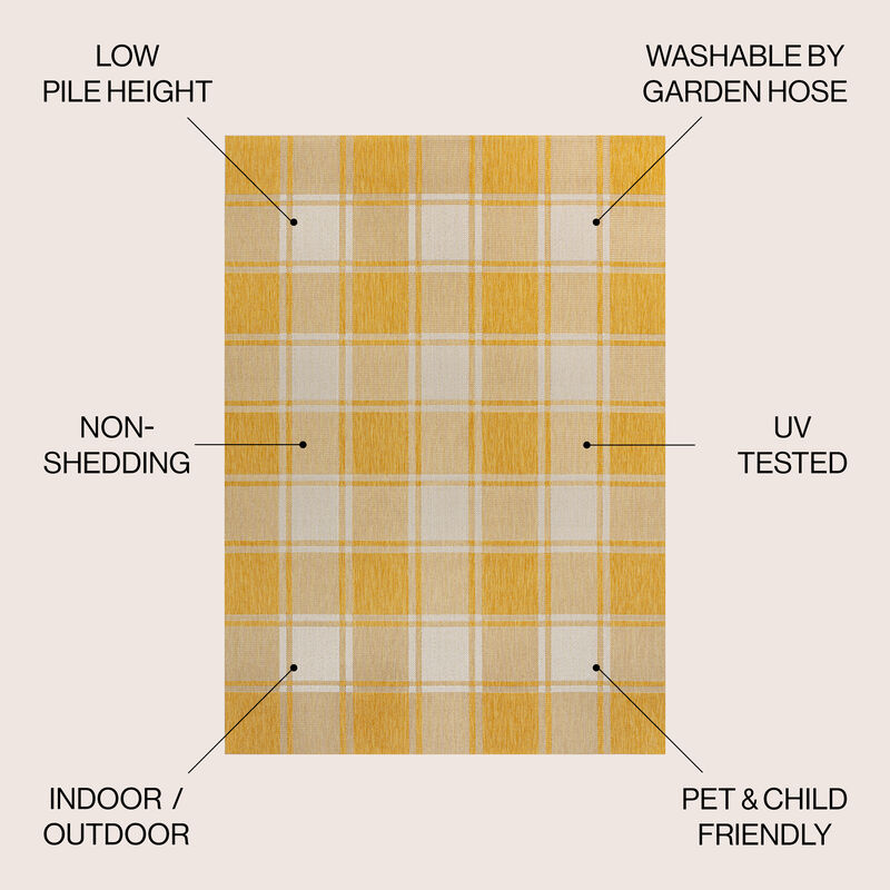 Sabine Traditional Farmhouse Bold Gingham Indoor/Outdoor Area Rug