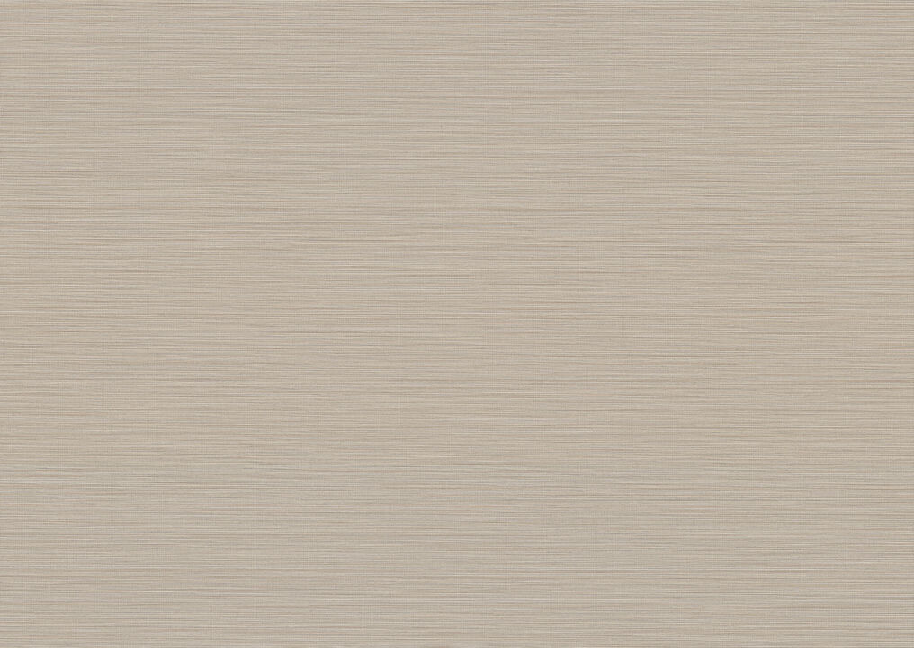 Cannete Grey Wallpaper