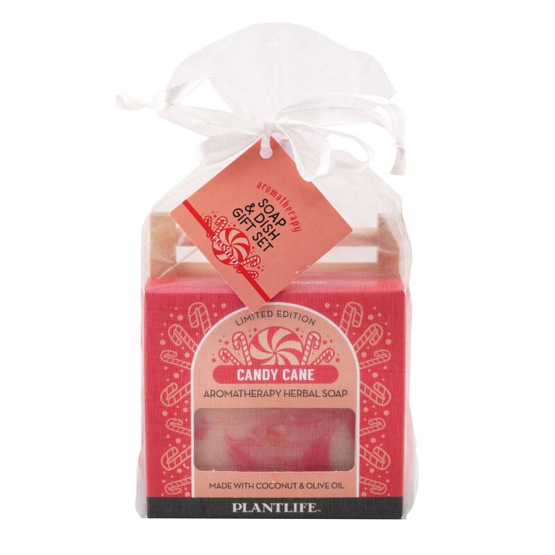 Plantlife Candy Cane Soap on a Dish image number 0