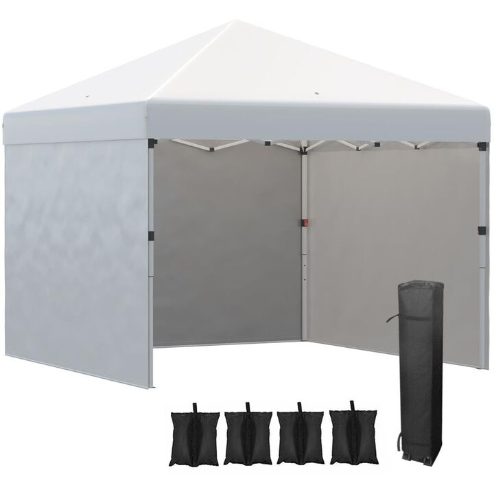 Hivvago Height-Adjustable 10' x 10' Party Tent