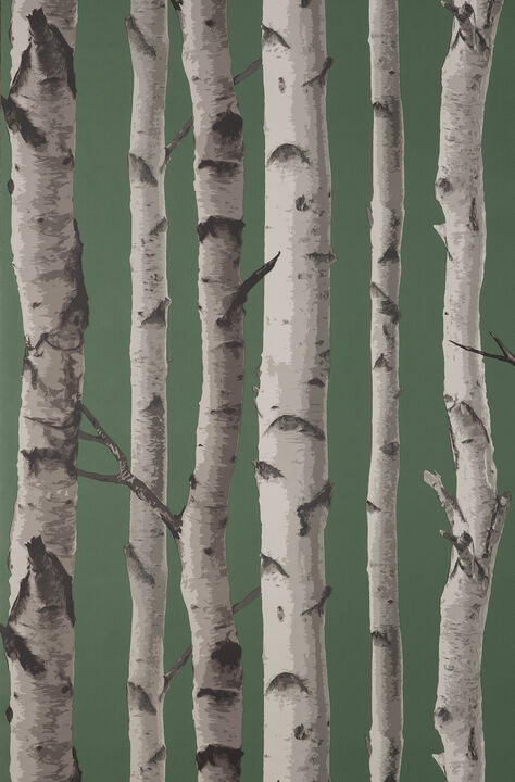 Chester Dark Green Birch Trees Wallpaper