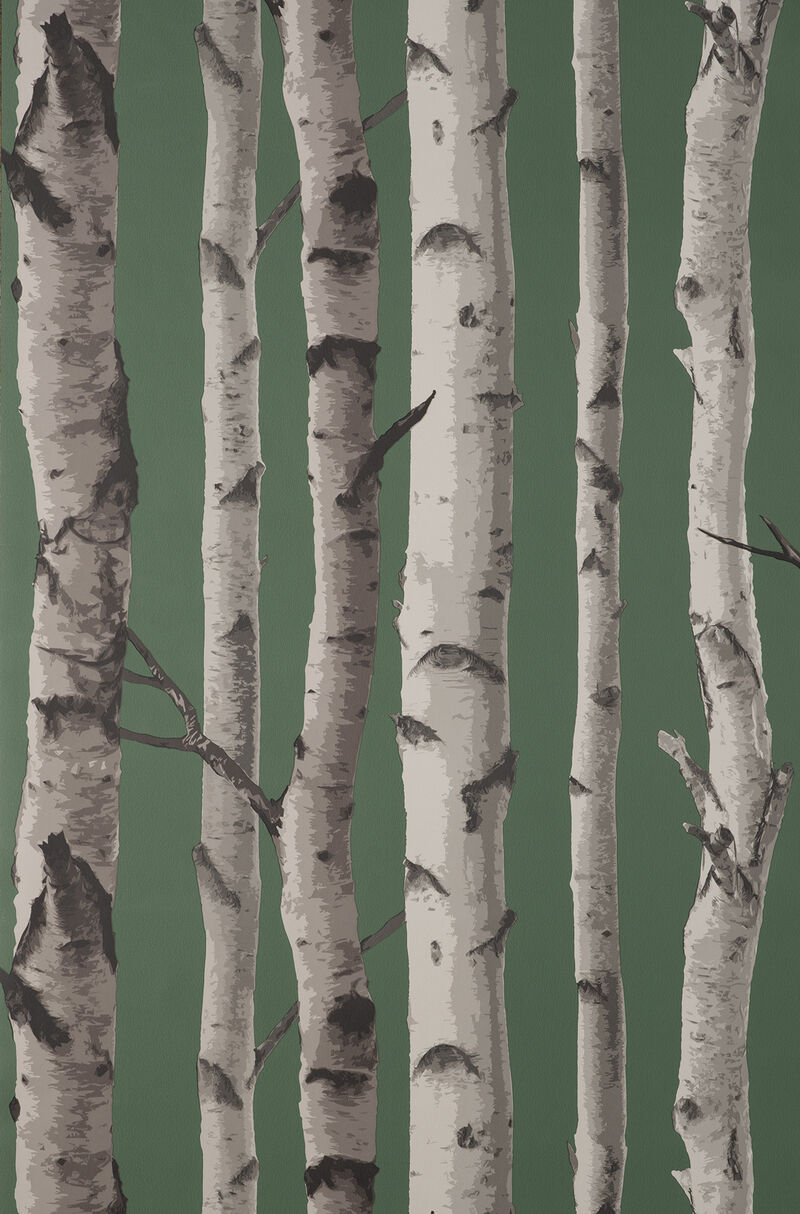 Chester Dark Green Birch Trees Wallpaper image number 0
