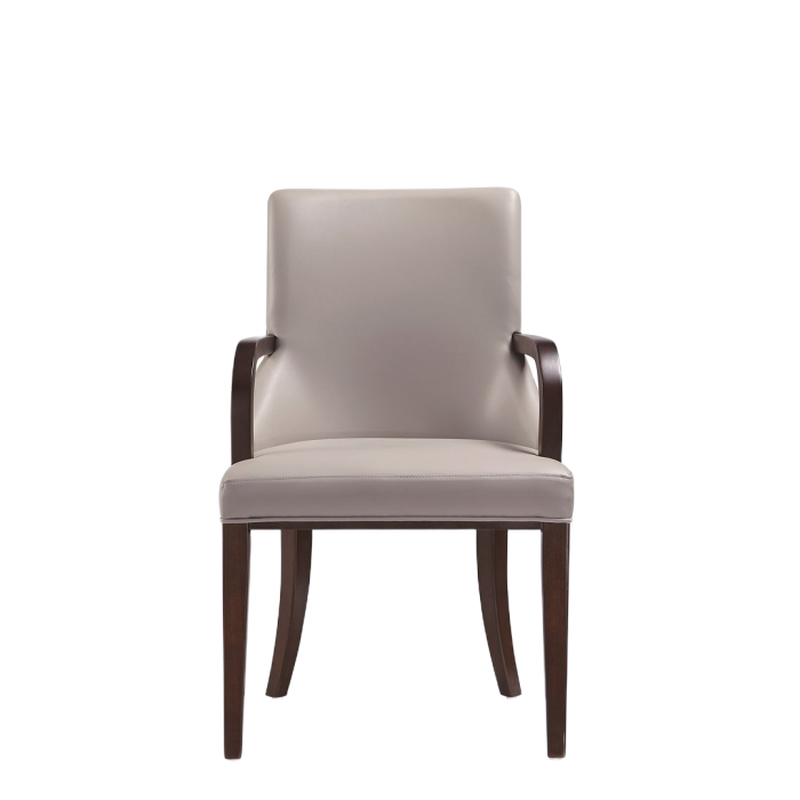 Shubert Gray Dining Arm Chairs (Set of 2)