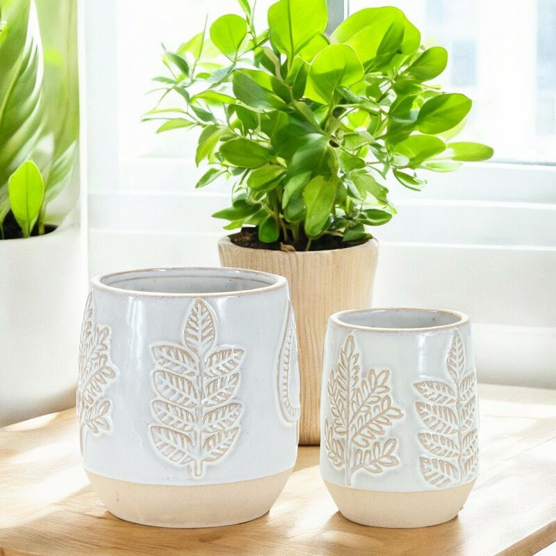 Set of 2 Decorative Storage Containers – Stylish and Practical Home Organization Solutions