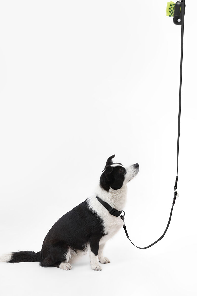 Luna Adjustable 6-in-1 Waterproof Hands-Free Leash and Collar with LED Flashlight