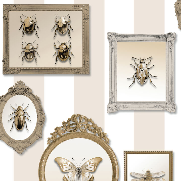 Entomology Gallery Wallpaper