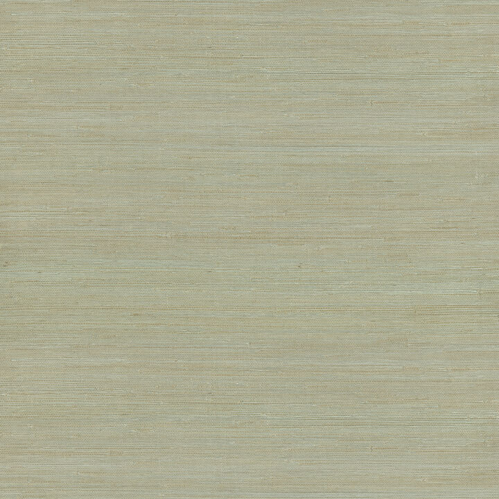 Battan Mint Jute Grasscloth Wallpaper (Set of 2)