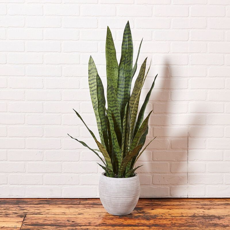 Artificial Snake Plant with Artisan Planter image number 2