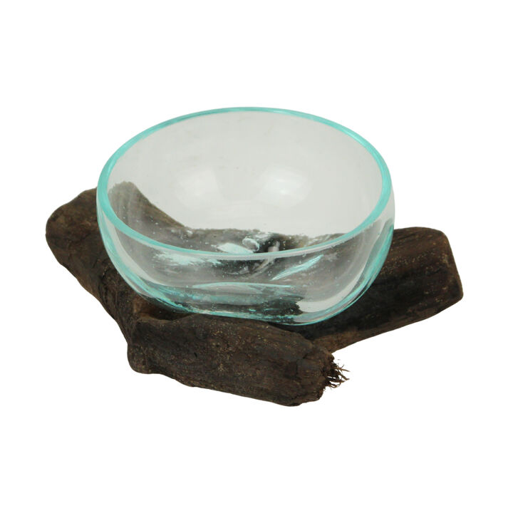 Glass and Teak Driftwood Bowl &ndash; 3.25&rdquo; High Decorative Succulent Centerpiece
