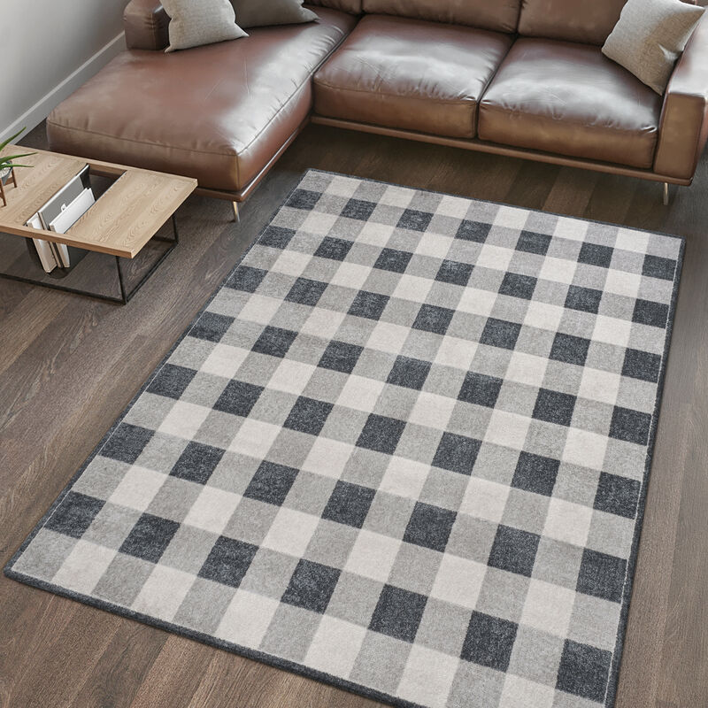 Gingham Gradient Plaid Cottage Machine-Washable Light Area Rug