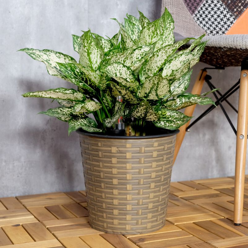 13.4" Self-watering Wicker Decor Round Planter for Indoor and Outdoor image number 1