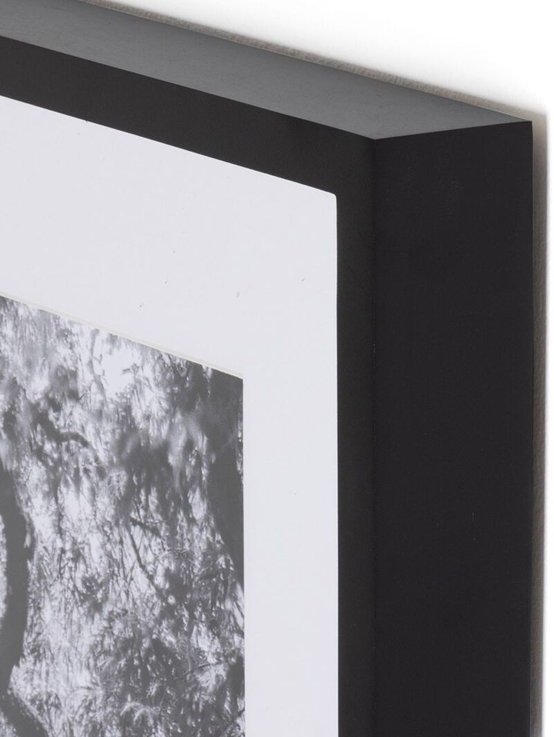 Tree Gaze IV by Coup d'Esprit image number 2