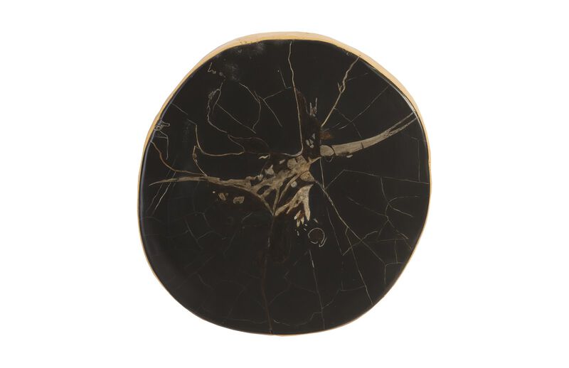 Cast Petrified Wood Round Wall Tile