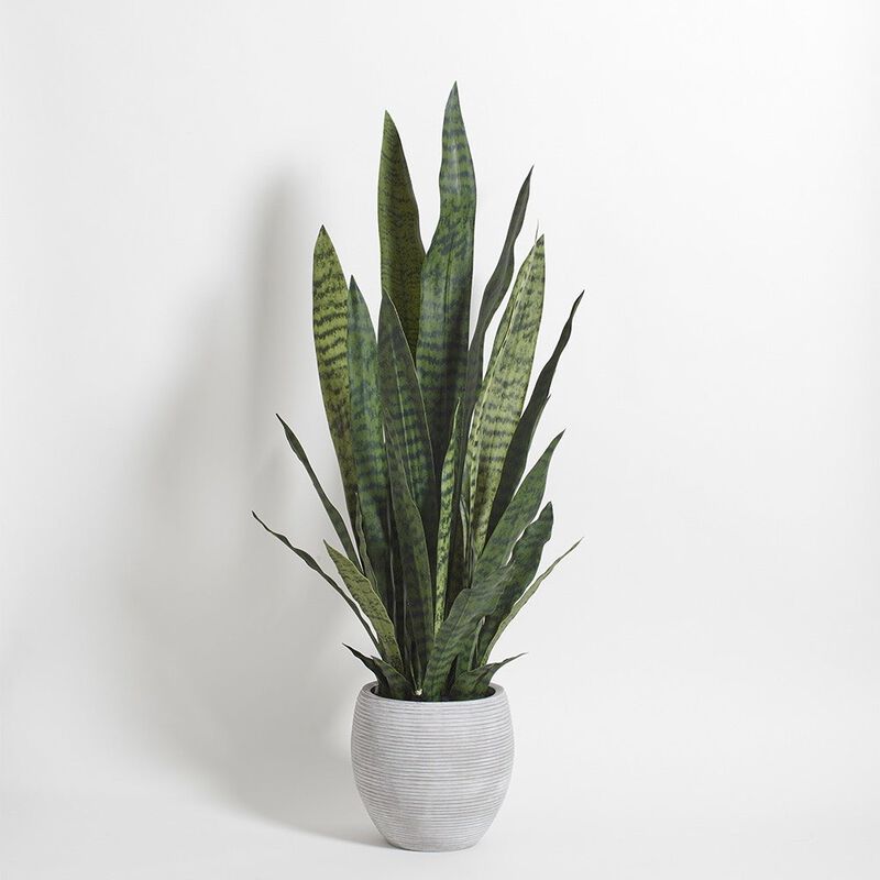 Artificial Snake Plant with Artisan Planter image number 7