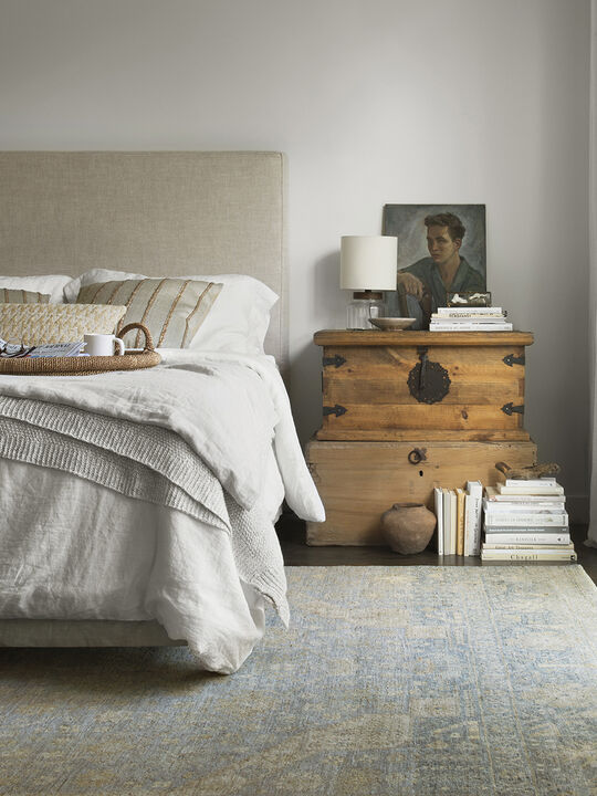 Legacy LZ03 2'" x 3'" Rug