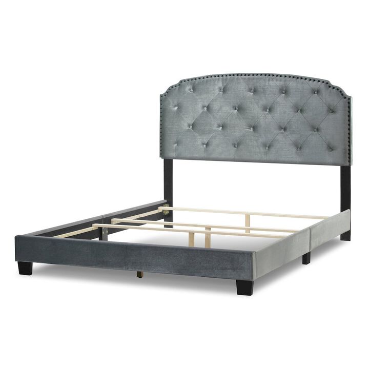Glamour Home Arin Silver Gray Velvet Queen Bed with Button Tufting and Black Nail Head Trim