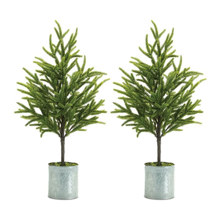 Mini Pine Tree Set of 2 in Pots for Christmas Mantel or Seasonal Accent Decor