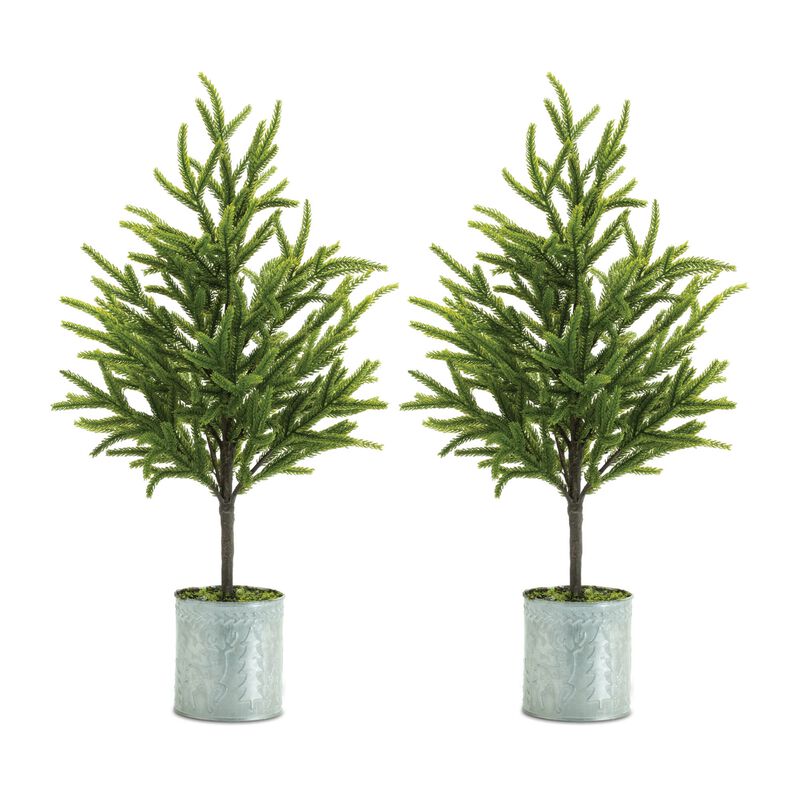 Mini Pine Tree Set of 2 in Pots for Christmas Mantel or Seasonal Accent Decor