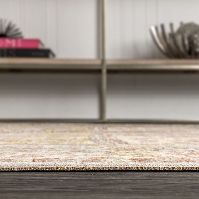 Darija Ornate Geometric Medallion Area Rug