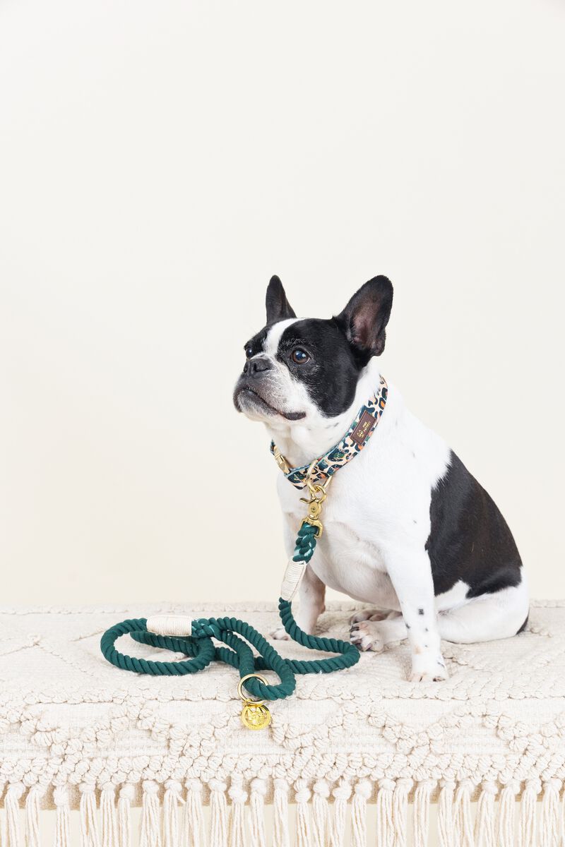 Sam Rope Dog Leash image number 2