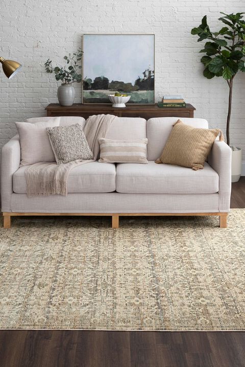 Divina Bliss Grey 5' x 7'10" Rug