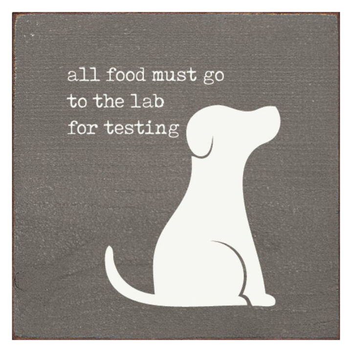 Pet Lover Wood Wall Sign All Food Must Go To The Lab For Testing Solid Pine Decor
