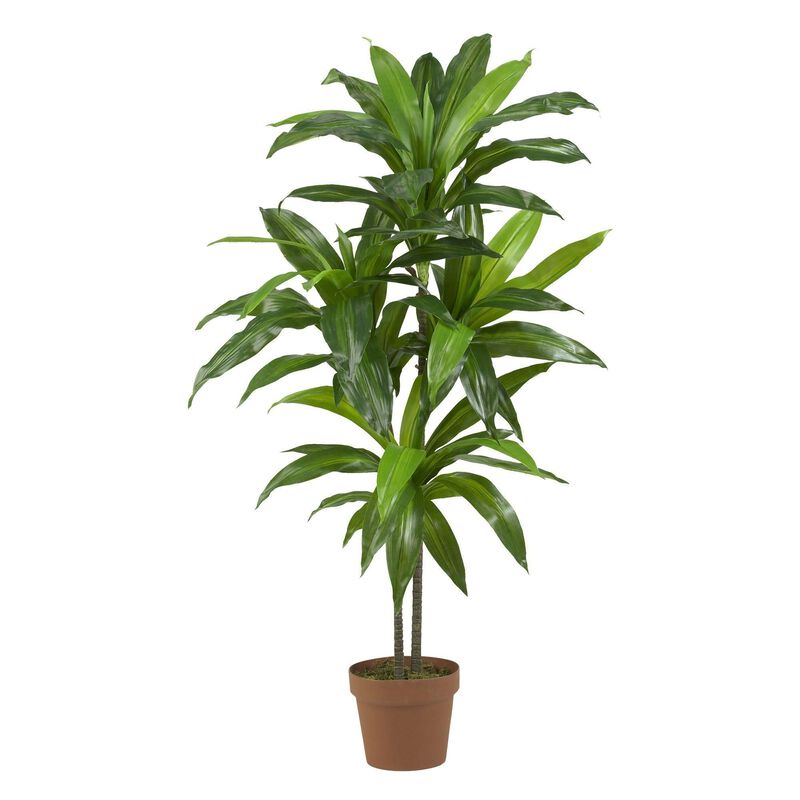 Nearly Natural 4-in Dracaena (Real Touch)
