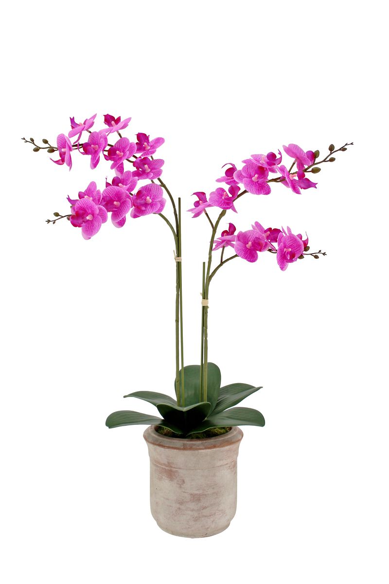 Artificial 2-Stem Phalaenopsis Pink Orchid image number 0