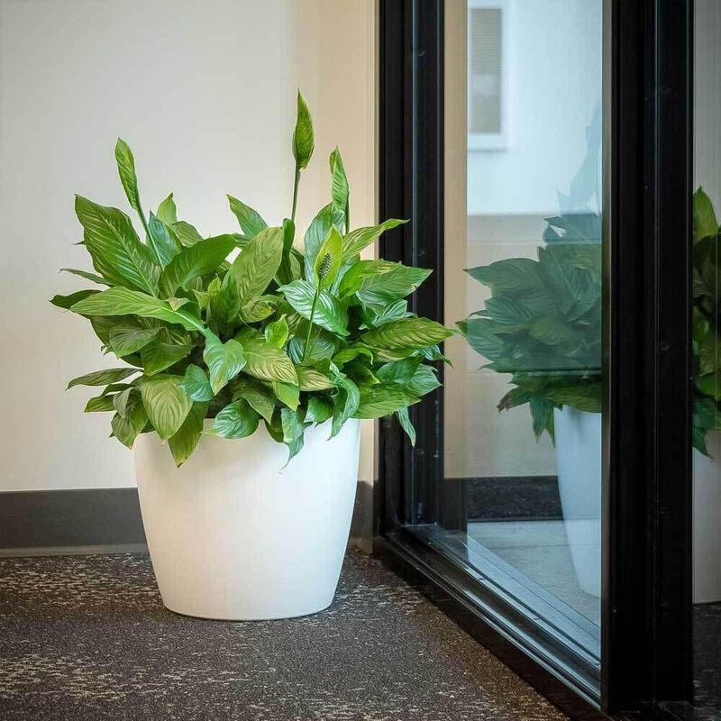 American Essence Memphis Small Round Plastic Planter.