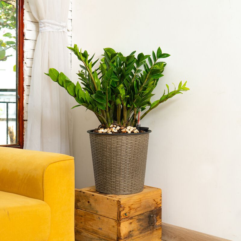 13 in.Gray Wicker Self-watering Planter image number 2