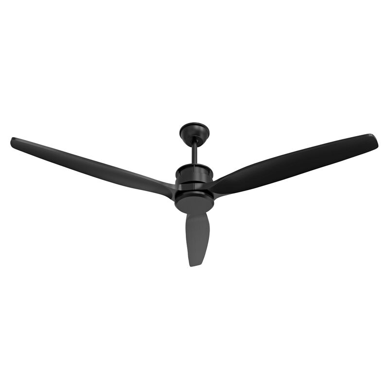 Indoor/Outdoor Use 60 in. Black 3 Wooden Blade Propeller Ceiling Fan with Remote Control, DC Motor, 6-Speed Adjustable