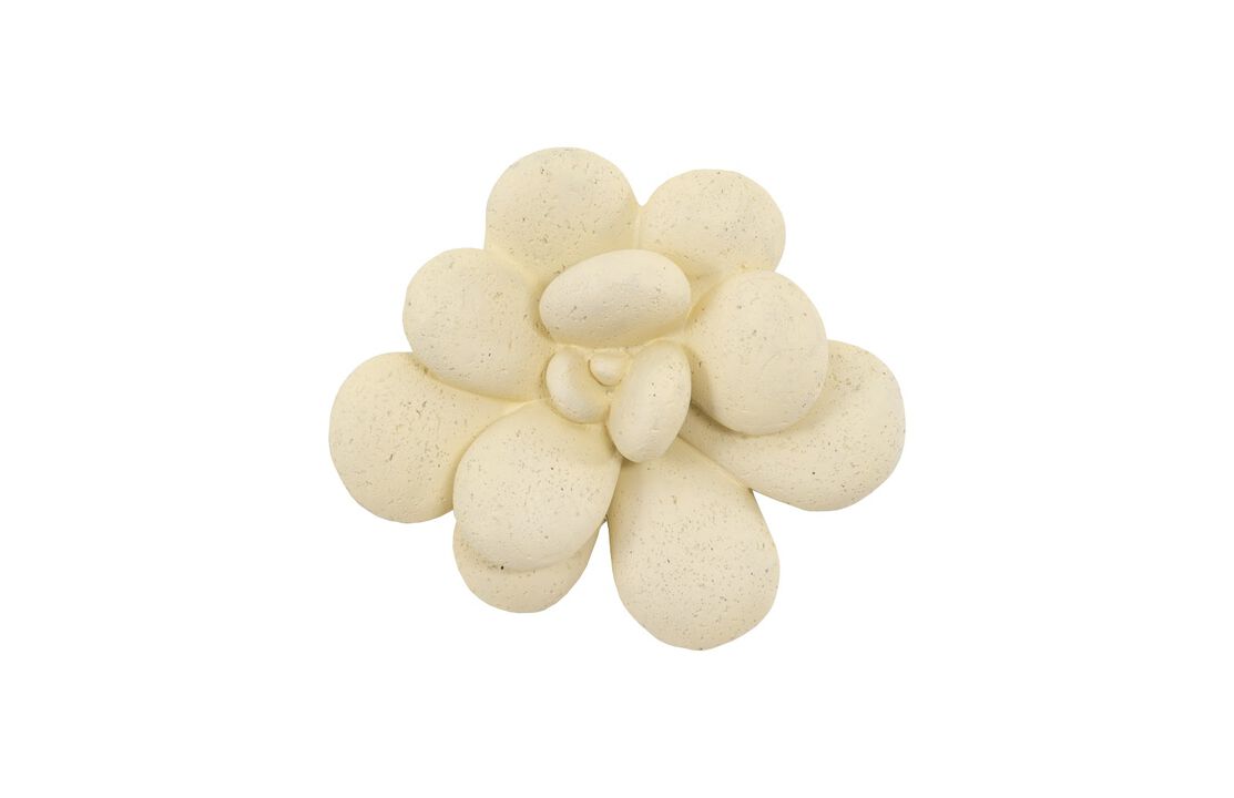 Oviferum Succulent Wall Art in Chartreuse