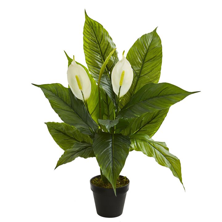 HomPlanti 26" Spathiphyllum Artificial Plant (Real Touch)