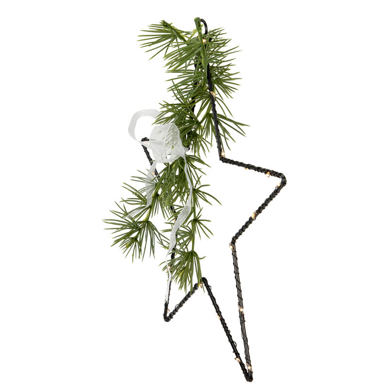 11" LED Lighted Star with Rosemary Sprig Christmas Decoration  Warm White Lights