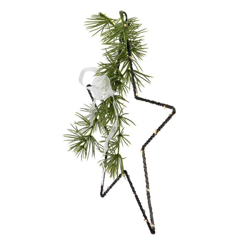 11" LED Lighted Star with Rosemary Sprig Christmas Decoration  Warm White Lights image number 2