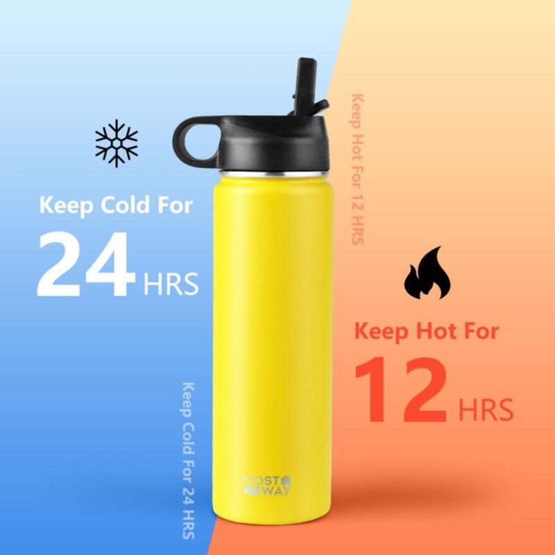 Costway22 Oz Double-walled Insulated Stainless Steel Water Bottle with 2 Lids and Straw