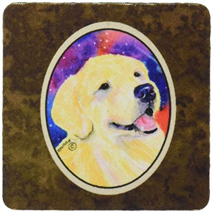 Caroline's Treasures SS8753FC Golden Retriever Foam Coasters (Set of 4), 3.5 H x 3.5 W, Multicolor