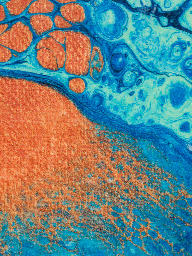 Kikiamo KK8 Collection