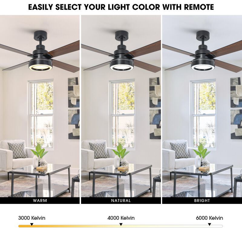 52" Modern Black Reversible 4-Blade Ceiling Fan with Light and Remote