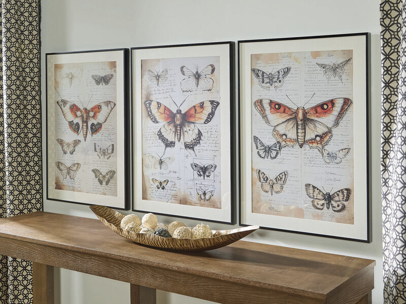 Jossletts Butterfly Wall Art (Set of 3) image number 1
