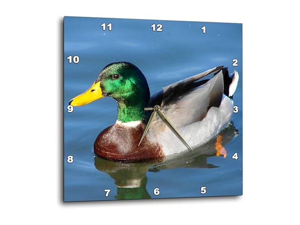 Mallard Drake Wall Clock 10 Inch Home Decor